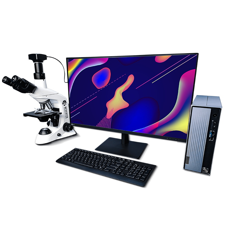 WXXYL-1 纖維吸油率測(cè)定儀1.png WXXYL-1 纖維吸油率測(cè)定儀1.png